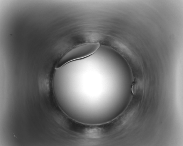 X0000089420452200706221156