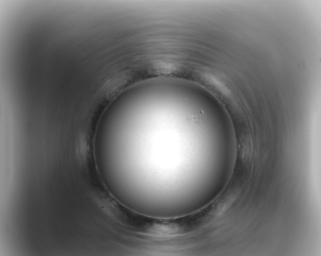 X0000089420455200706221156