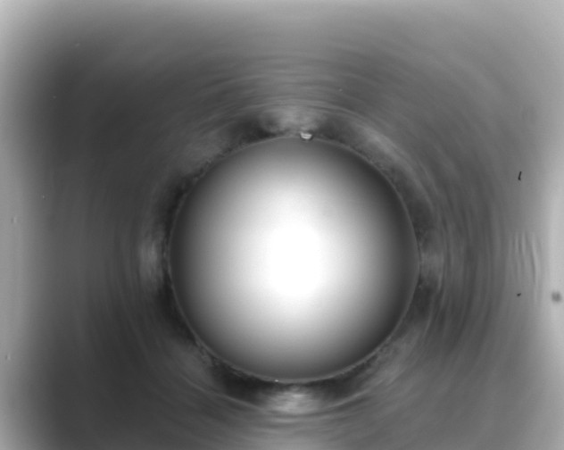 X0000089420460200706221156