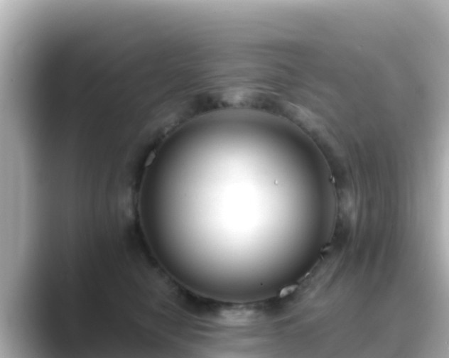 X0000089420470200706221156