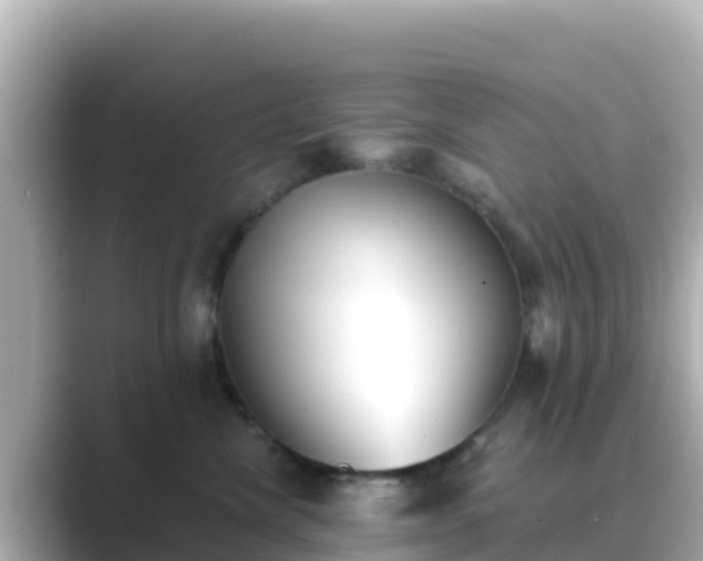 X0000089420476200706221156