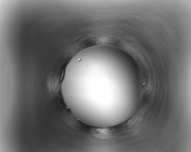 X0000089420478200706221156