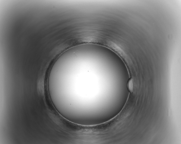 X0000089420482200706221156