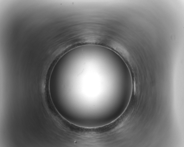 X0000089420483200706221156