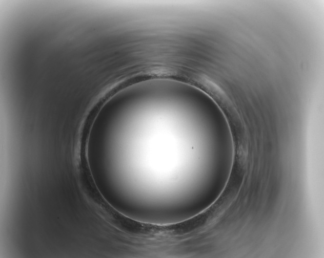 X0000089420484200706221156