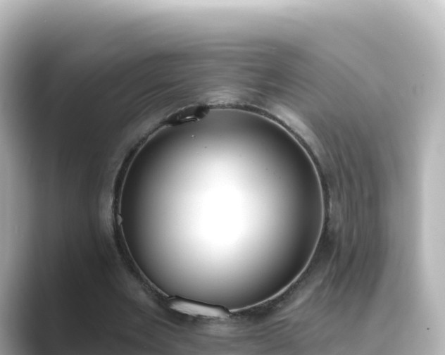 X0000089420485200706221156