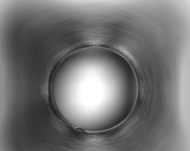 X0000089420486200706221156