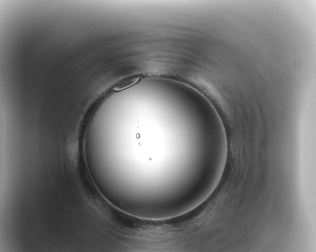 X0000089420488200706221156