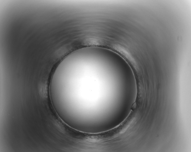 X0000089420489200706221156