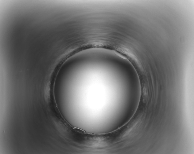 X0000089420492200706221156