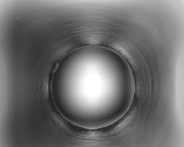 X0000089420493200706221156