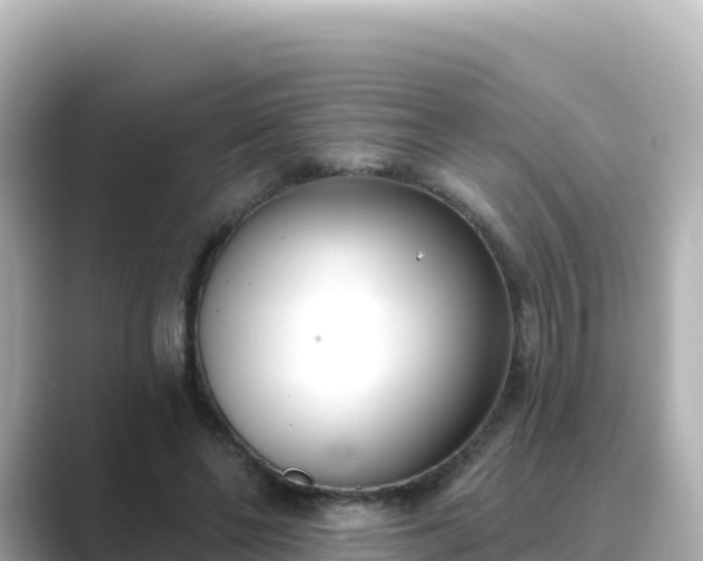 X0000089420494200706221156