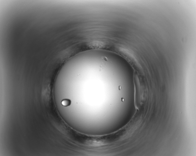 X0000089420498200706221156