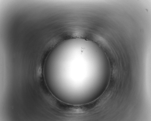 X0000089420502200706221156