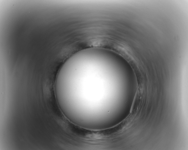 X0000089420503200706221156