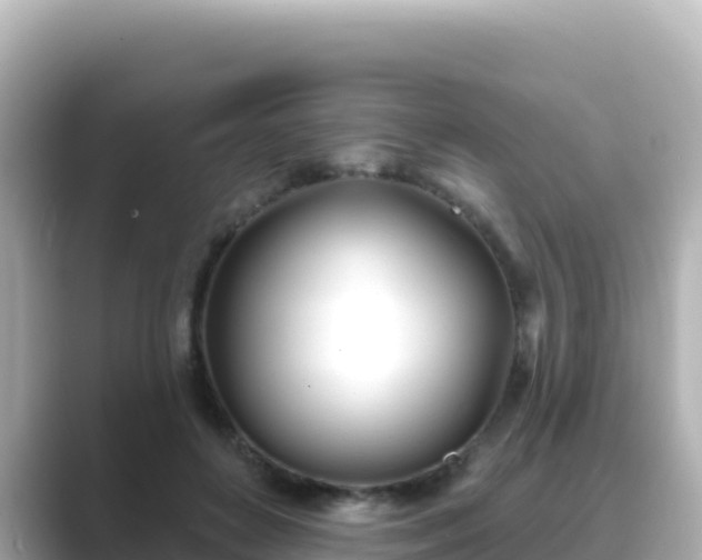 X0000089420504200706221156