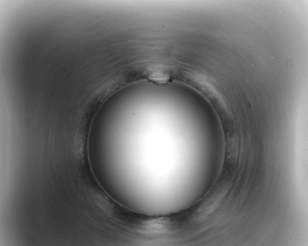 X0000089420505200706221156