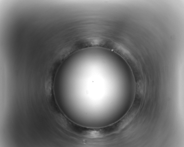 X0000089420509200706221156