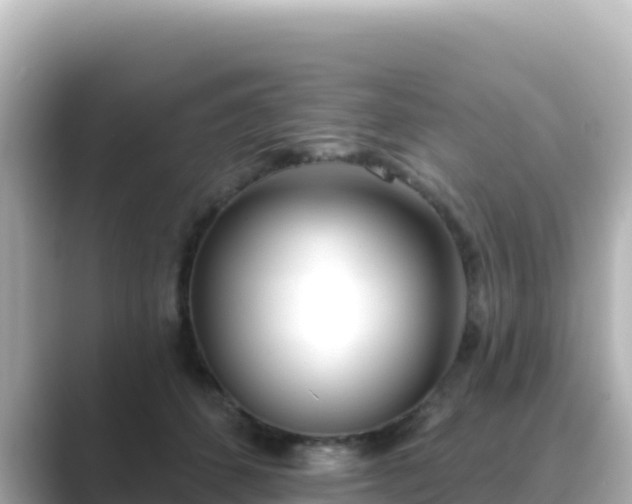 X0000089420512200706221156