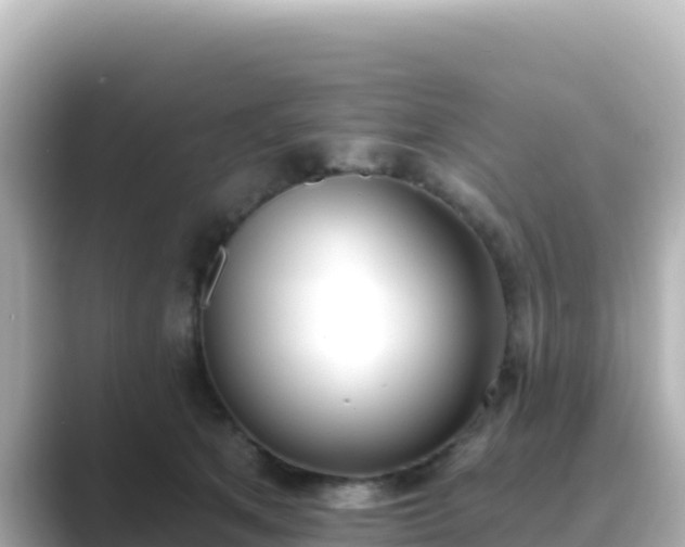 X0000089420513200706221156