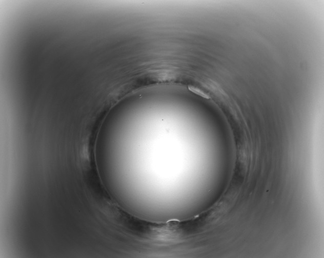 X0000089420516200706221156