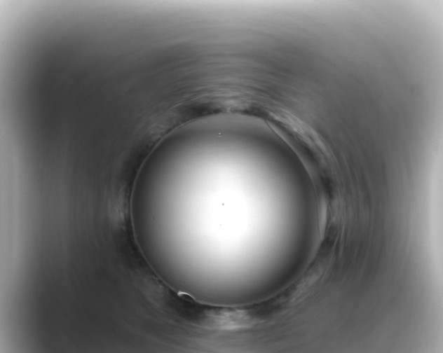 X0000089420517200706221156