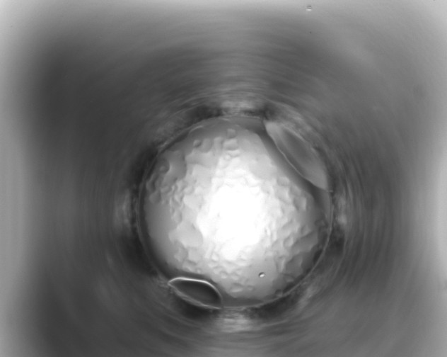 X0000089420519200706221155