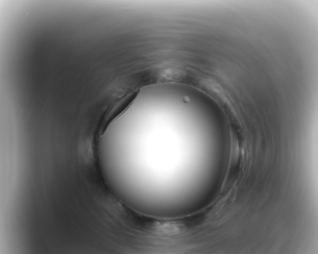 X0000089420520200706221155