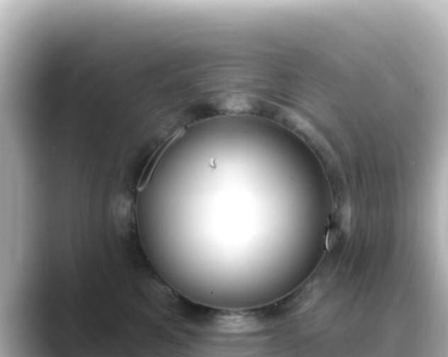 X0000089420521200706221155