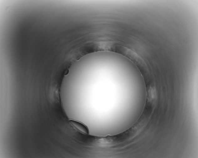 X0000089420522200706221155