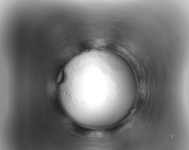 X0000089420523200706221155