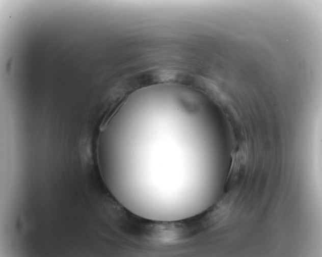 X0000089420524200706221155