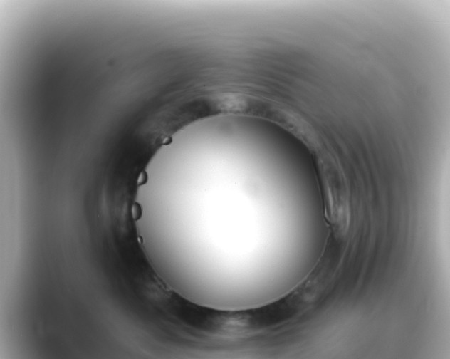 X0000089420525200706221155