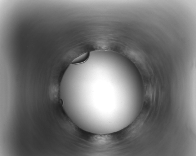 X0000089420526200706221155