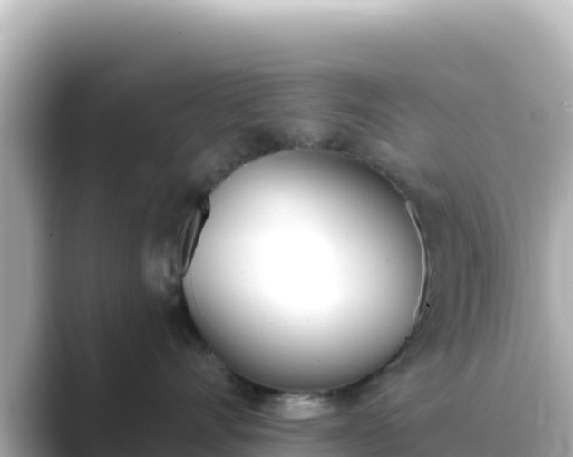 X0000089420528200706221155