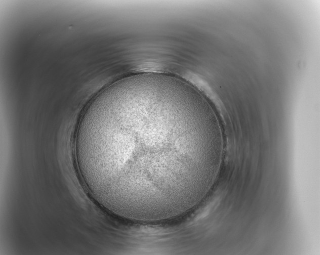 X0000089420529200706221155