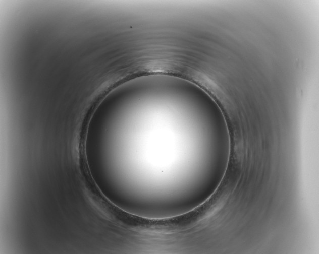 X0000089420530200706221155