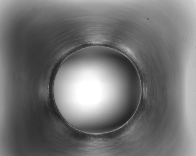 X0000089420531200706221155