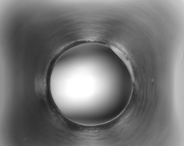 X0000089420532200706221155