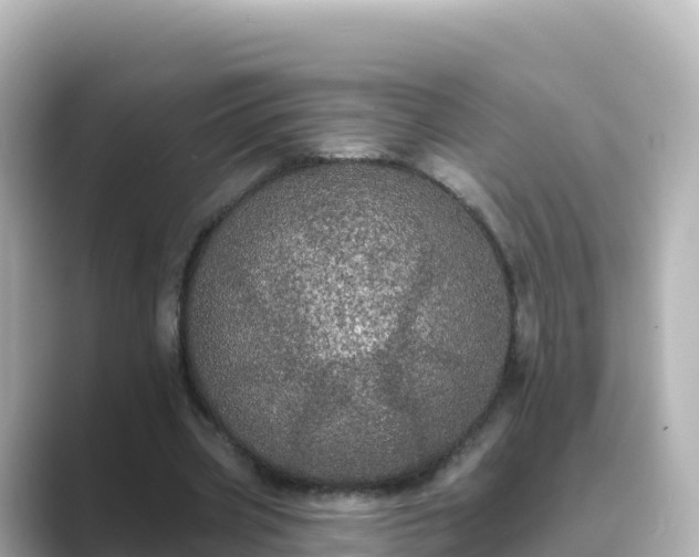 X0000089420533200706221155