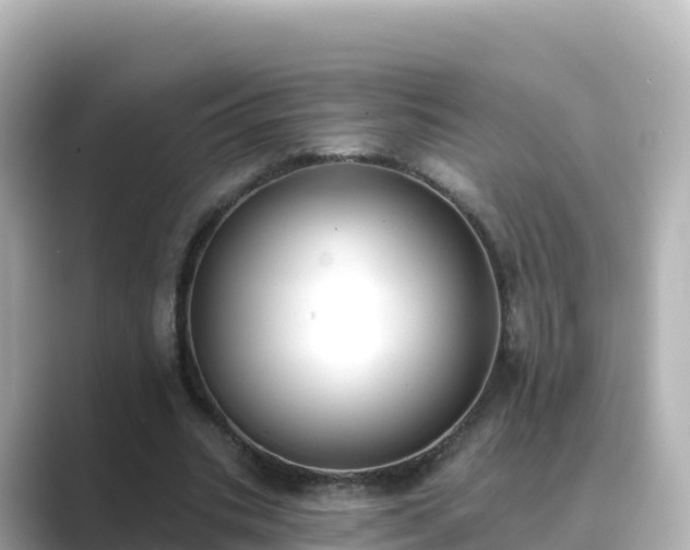 X0000089420535200706221155