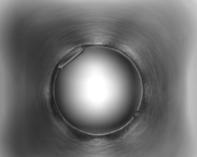 X0000089420536200706221155