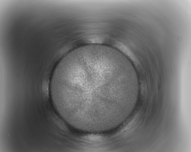 X0000089420537200706221155