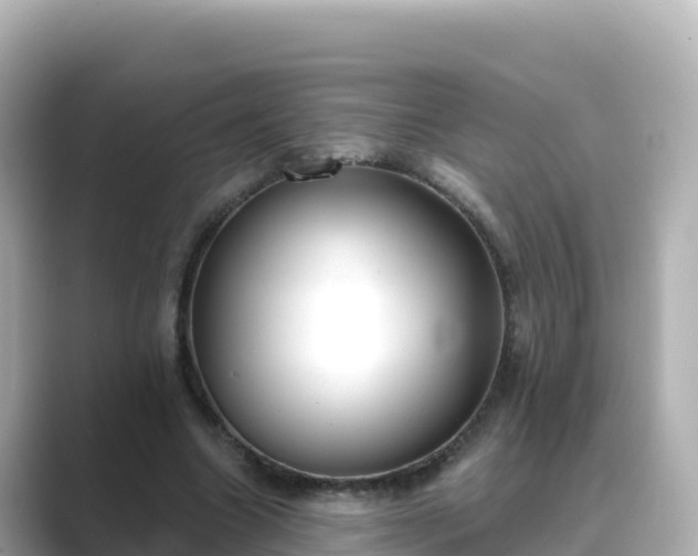 X0000089420538200706221155