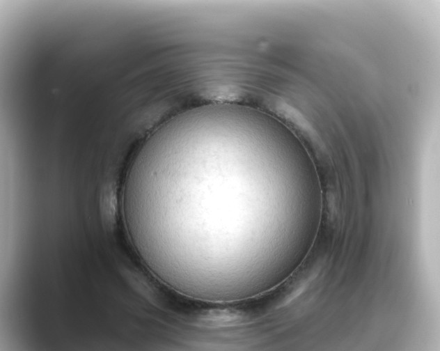 X0000089420541200706221155