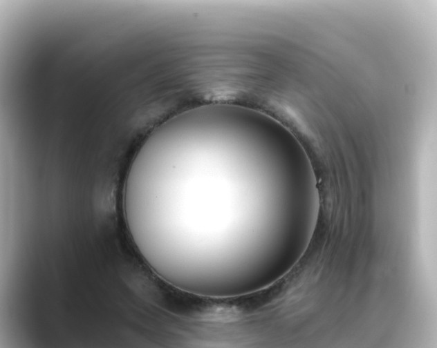 X0000089420543200706221155