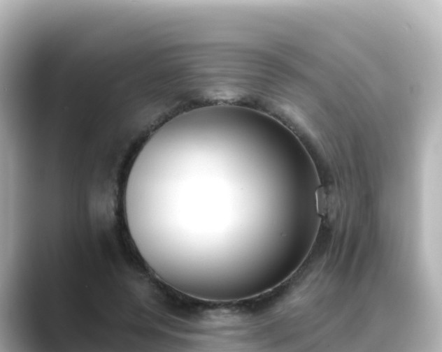 X0000089420544200706221155