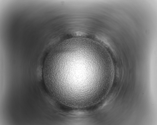 X0000089420545200706221155