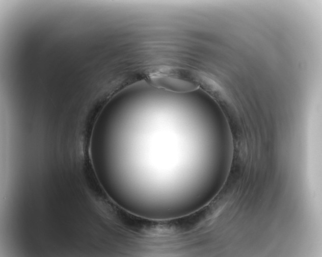 X0000089420546200706221155