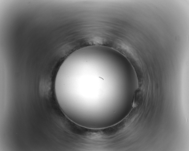 X0000089420548200706221155